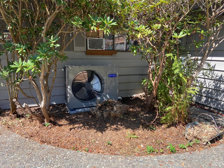 Air conditioning unit mounted on gray house exterior surrounded by climbing vines and trees with mulch ground cover